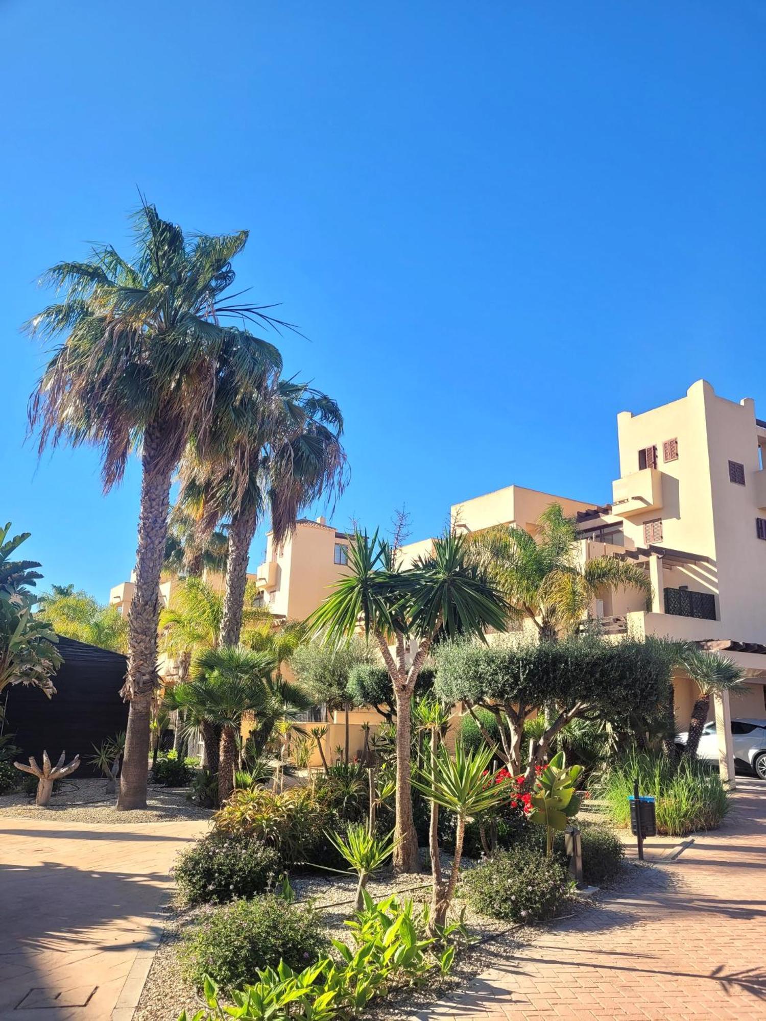 Bajo Con Una Terraza Espectacular Al Lado De La Playa Y Con Acceso Directo A La Piscina! Los Amarguillos Esterno foto